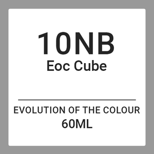 Alfaparf Evolution Of Colour CUBE 10NB (60ml)