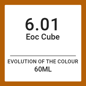 Alfaparf Evolution Of Colour CUBE 6.01 (60ml)