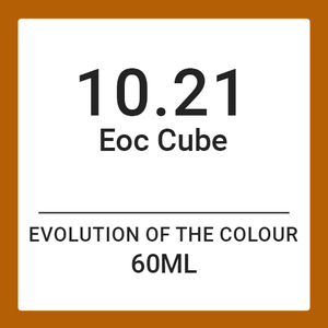 Alfaparf Evolution Of Colour CUBE 10.21 (60ml)