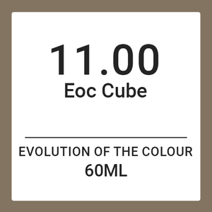 Alfaparf Evolution Of Colour CUBE 11.00 NEW (60ml)