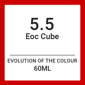 Alfaparf Evolution Of Colour CUBE 5.5 (60ml)