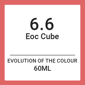 Alfaparf Evolution Of Colour CUBE 6.6 (60ml)