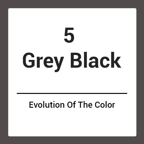 Alfaparf Evolution of the Color 5 Grey Black